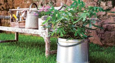 Delaware Experts Share Advice on Creating a Sustainable Home - Vimarsana News