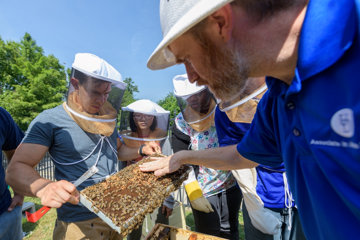 university of delaware students, beekeeping